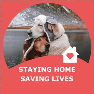 Meet your Posher, Trung